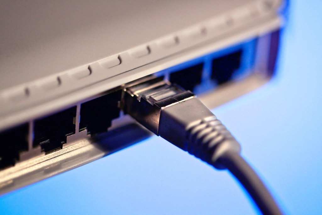 A network cable plugged into a port on networking equipment, lit in blue